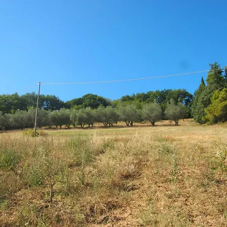 Ardizio 43 * Πέζαρο