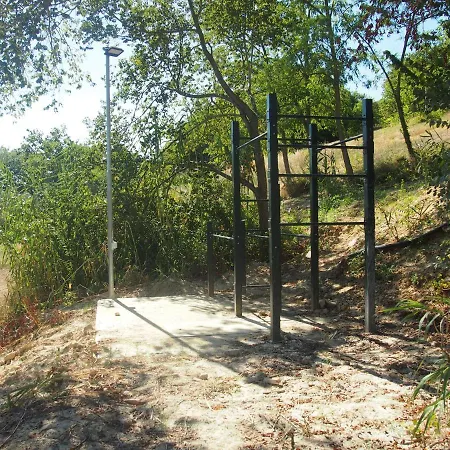 Ardizio 43 פסארו