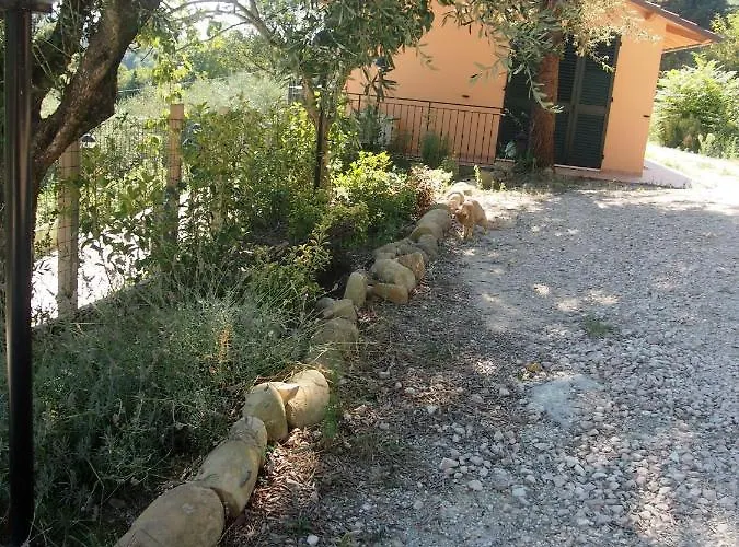 Πανσιόν Ardizio 43