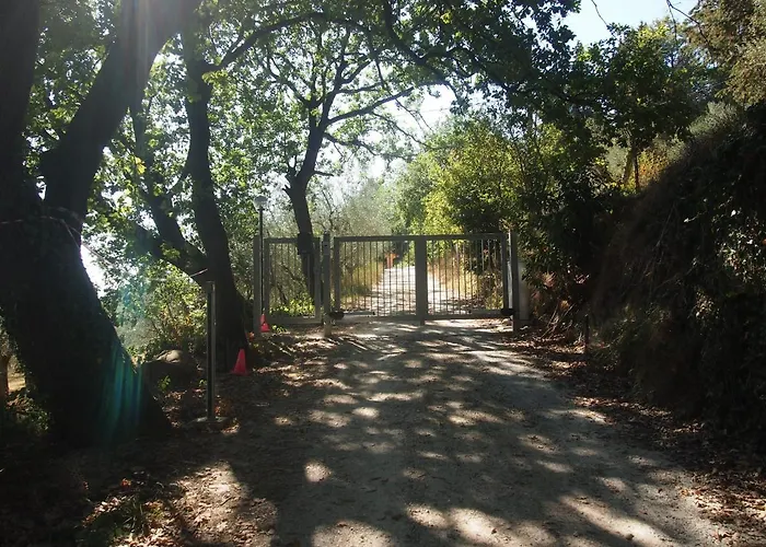 Πανσιόν Ardizio 43 *