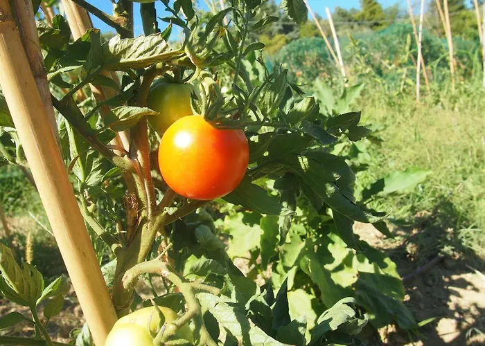 Πανσιόν Ardizio 43 *