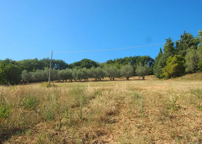 Ardizio 43 * Πέζαρο