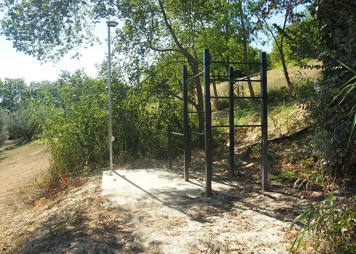 Ardizio 43 Πέζαρο