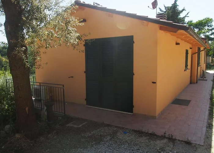 Ardizio 43 * Πέζαρο